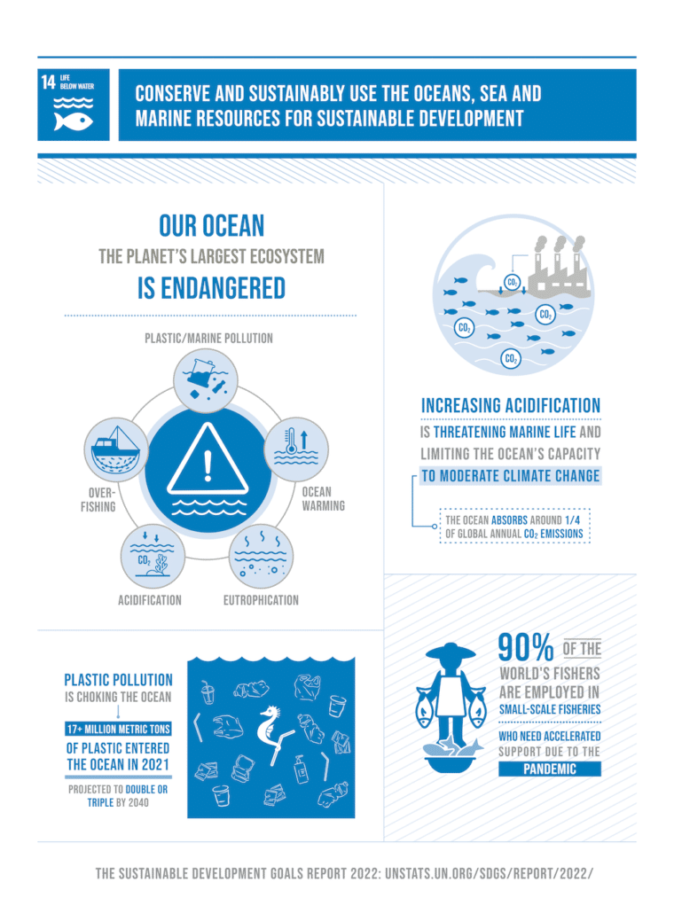 Reeframe REEFrame Landing Page Save UAE Coral Reefs
