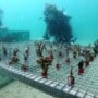 How Building Artificial Reefs Compensates for the Damage Humankind Has Caused